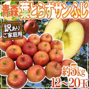 りんご 青森産 訳あり ”葉とらずサンふじ” 12〜20玉 約5kg 葉っぱを摘まずに育てたりんご♪/葉とらずりんご/葉取らず【予約 2月下旬以降】 送料無料