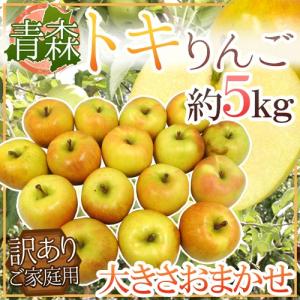 りんご 青森県 ”トキりんご” 訳あり 約5kg 大きさおまかせ ときりんご【予約 11月以降】 送料無料