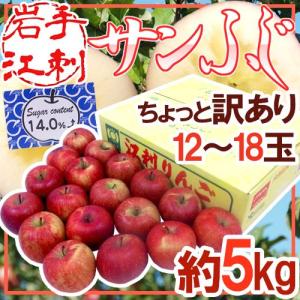 りんご 岩手江刺産 ”蜜入りサンふじ” ちょっと訳あり 12〜18玉 約5kg【予約 11月末以降】 送料無料