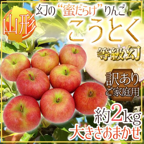 りんご 蜜だらけりんご ”山形産 こうとく（高徳）りんご” 等級幻 訳あり 約2kg 大きさおまかせ...