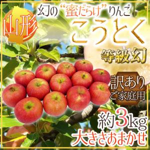 送料無料冷蔵便】韓国産 チャメ 10kg (43〜45玉入) 季節数量限 果物