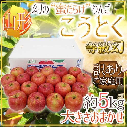 りんご 蜜だらけりんご ”山形産 こうとく（高徳）りんご” 等級幻 訳あり 約5kg 大きさおまかせ...