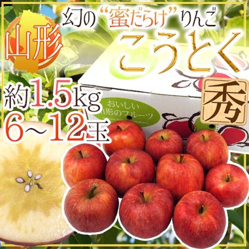 りんご 山形産 蜜だらけりんご ”こうとく（高徳）りんご” 6〜12玉 約1.5kg【予約 11月以...