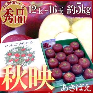 りんご まっ黒リンゴ ”長野産 秋映 あきばえ” 秀品 大玉12〜16玉 約5kg 化粧箱【予約 10月以降】 送料無料