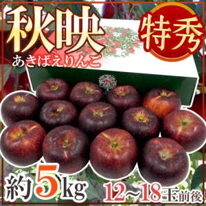 りんご まっ黒リンゴ ”長野産 秋映 あきばえ” 特秀品 12〜18玉前後 約5kg 化粧箱【予約 10月以降】 送料無料
