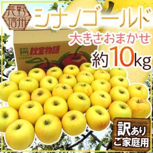 送料無料冷蔵便】韓国産 チャメ 10kg (43〜45玉入) 季節数量限 果物
