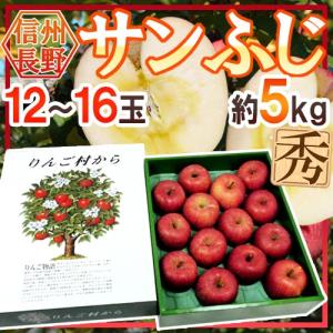 りんご 長野産 ”蜜入りサンふじ” 秀品 大玉12〜16玉 約5kg 化粧箱【予約 11月下旬以降】 送料無料