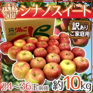 りんご 長野産 ”シナノスイート” 訳あり 24〜36玉 約10kg【予約 10月中下旬以降】 送料無料