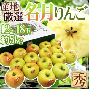 りんご ”ぐんま名月” 秀品 12〜18玉 約5kg 産地厳選 りんご【予約 11月以降】 送料無料