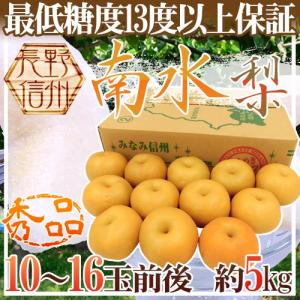 送料無料 花山椒 約100g 産地直送 奈良県産 奈良県 奈良 サンショウ