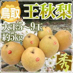 あかつき 福島産 桃 1箱 約5kg（18玉入り） 送料無料 : 根津果樹