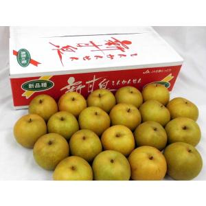 鳥取産 ”新甘泉(しんかんせん)梨” 秀品 2...の詳細画像2