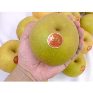 鳥取産 ”新甘泉(しんかんせん)梨” 秀品 大...の詳細画像2