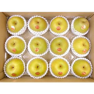 鳥取産 ”新甘泉(しんかんせん)梨” 秀品 大...の詳細画像4