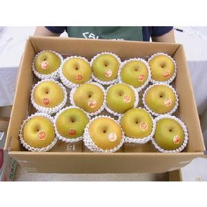 鳥取産 ”新甘泉(しんかんせん)梨” 秀品 大...の詳細画像5