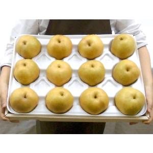 ”鳥取産 新甘泉(しんかんせん)梨” 訳あり ...の詳細画像5
