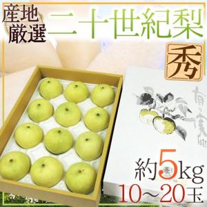 送料無料 花山椒 約100g 産地直送 奈良県産 奈良県 奈良 サンショウ