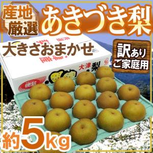 ”あきづき梨（秋月）” 訳あり 約5kg 大きさおまかせ 産地厳選【予約 9月以降】 送料無料