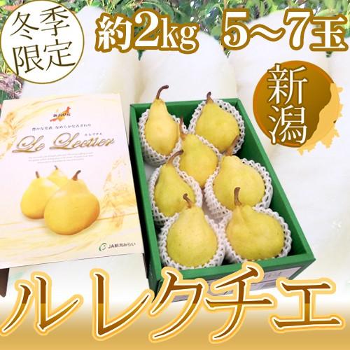 新潟産 ”ル レクチェ” 秀品 5〜7玉 約2kg 化粧箱 洋梨【予約 12月以降】 送料無料