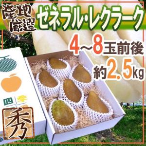 ”ゼネラルレクラーク” 秀品 4〜8玉前後 約2.5kg 化粧箱 産地厳選 洋梨【予約 10月下旬以降】 送料無料