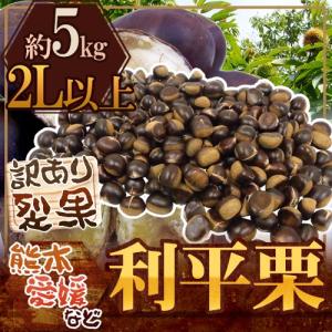 沖縄県産 サラダ用グァバ 約1kg 白 : 沖縄市場たま青果 - 通販 - Yahoo