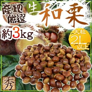 茨城県産 栗 （くり） 2L〜3Lサイズ 約1kg ネット 国産 生栗