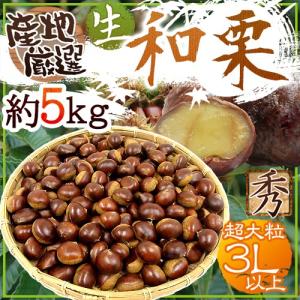 国産和栗” 秀品 超大粒3Lサイズ以上 約10kg 産地厳選 生栗【予約 9月