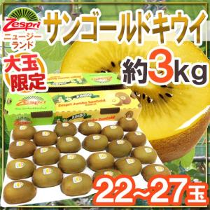 ゼスプリ ”サンゴールドキウイ” 22〜27玉 約3kg【予約 4月下旬以降】 送料無料｜くらし快援隊