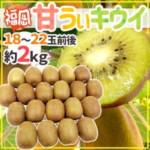 ゼスプリ ”サンゴールドキウイ” 22〜27玉 約3kg【予約 4月下旬以降