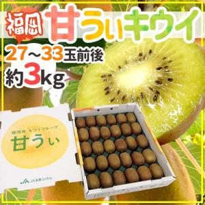 ゼスプリ ”サンゴールドキウイ” 22〜27玉 約3kg【予約 4月下旬以降