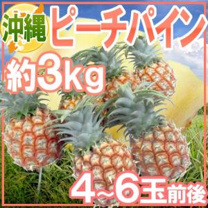 沖縄産 ”ピーチパイン” 4〜6玉前後 約3kg【予約 3月下旬以降】 送料無料