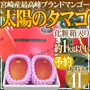 宮崎完熟マンゴー ”太陽のタマゴ” 超特大 4Lサイズ 2玉入り 化粧箱【予約 4月以降】 送料無料｜くらし快援隊