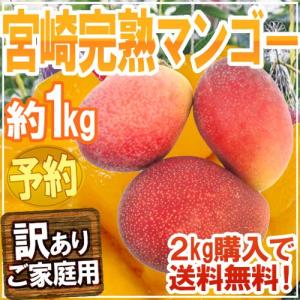 ”宮崎完熟マンゴー” 訳あり 2〜4玉 約1kg♪ 2キロ以...