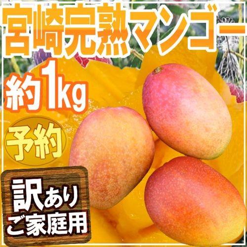 【早期発送】宮崎産 ”完熟マンゴー” 訳あり 2〜4玉 約1kg【予約 5月以降】