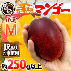 宮崎完熟マンゴー” 訳あり 1玉約300g以上 中玉Lサイズ《4玉以上ご購入