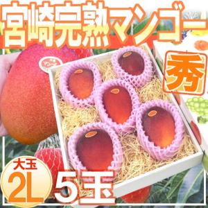 宮崎ミニマンゴー” 1pc 5〜10玉入り 約400g 宮崎マンゴー パック入り