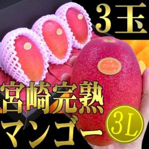 宮崎完熟マンゴー” 秀品 4Lサイズ 3玉 1.8kg以上 化粧箱入り 宮崎