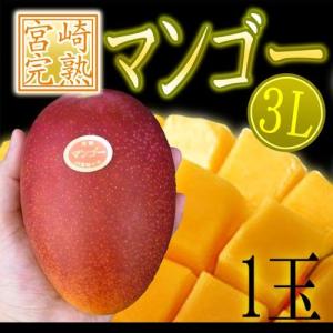 宮崎ミニマンゴー” 1pc 5〜10玉入り 約400g 宮崎マンゴー パック入り