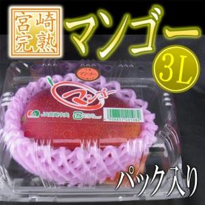 宮崎完熟マンゴー 宮崎マンゴー 完熟マンゴー マンゴー 大玉 3L 2玉