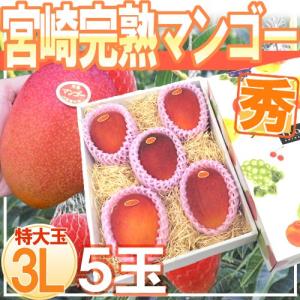 宮崎完熟マンゴー ”太陽のタマゴ” 特大玉3L 2玉入り 最高等級 赤秀限定