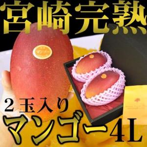 宮崎完熟マンゴー” 秀品 4Lサイズ 3玉 1.8kg以上 化粧箱入り 宮崎