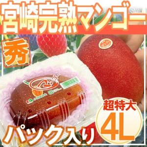 宮崎完熟マンゴー” 訳あり 超大玉4L 2玉 約1kg以上 宮崎マンゴー【予約