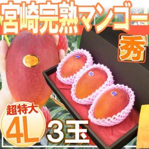 宮崎完熟マンゴー ”太陽のタマゴ” 特大玉3L 2玉入り 最高等級 赤秀限定