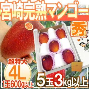 宮崎完熟マンゴー訳あり約3kg 早い者勝ち訳あり完熟マンゴー3ｋgとろける甘さ 宮崎完熟マンゴー” 秀品 2Lサイズ 3玉入り 1kg以上 化粧箱 宮崎