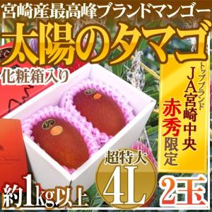 宮崎完熟マンゴー ”太陽のタマゴ” 大玉 2Lサイズ 2玉 宮崎マンゴー