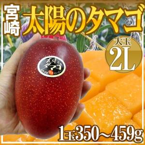 宮崎マンゴー ”太陽のタマゴ” 大玉 2Lサイズ 2玉 宮崎完熟マンゴー