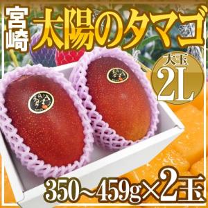 【早期発送】宮崎完熟マンゴー ”太陽のタマゴ” 大玉 2Lサ...