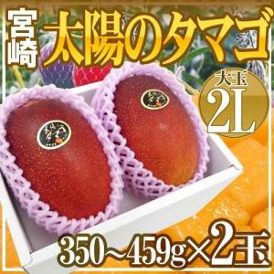 【送料無料】宮崎マンゴー ”太陽のタマゴ” 大玉 2Lサイズ...