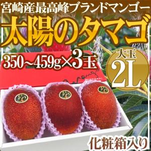 宮崎マンゴー ”太陽のタマゴ” 大玉 2Lサイズ 3玉 産地化粧箱【予約 4月以降】 送料無料｜kurashi-kaientai