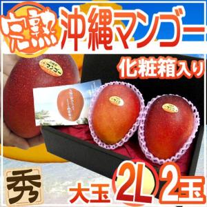 お中元 ミニマンゴー 宮崎産 約400g サイズおまかせ : 果物専門店